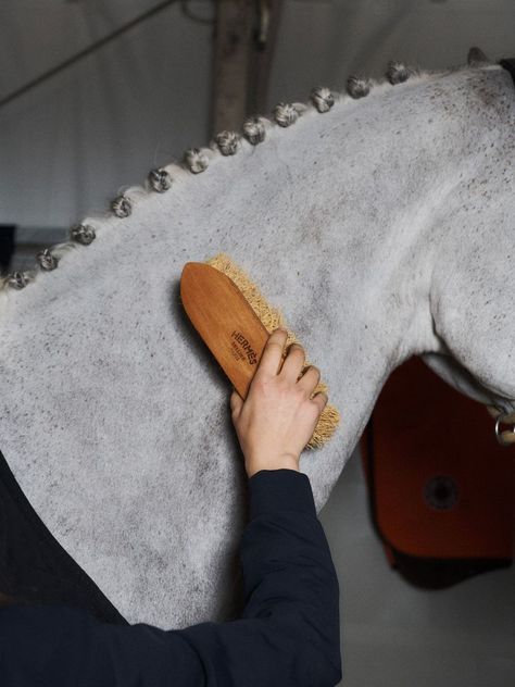 The Saut Hermès at the Grand Palais Éphémère 2023 | Hermès USA Dressage Aesthetic, Equine Photography Poses, Horseback Riding Trails, Equestrian Equipment, Horse Riding Aesthetic, Dream Horse Barns, Show Jumping Horses, Horse Barn Plans, Classy Cowgirl