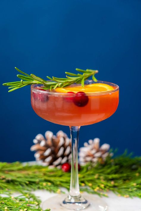 Cocktails Archive - Queen Bee Mixology Poinsettia Cocktail, Cocktail Punch, Vodka Cranberry, Cocktail Recipe Book, Sparkling Cocktail, Cocktails To Try, Summer Brunch, Seasonal Treats, Rosemary Sprigs