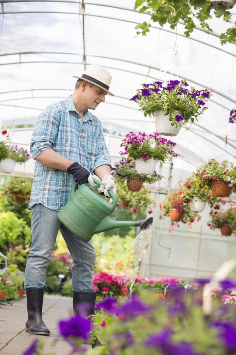 Person Watering Plants Reference, Gardener Reference, Person Watering Plants, Gardener Portrait, Gardening Outfit Aesthetic, Gardener Clothes, Gardener Photography, Plants In Greenhouse, Man Gardening