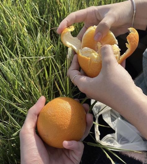 Peeling Oranges Aesthetic, Peeling An Orange Aesthetic, Orange Theory Aesthetic, Orange Slices Aesthetic, Sharing Oranges, Orange Aesthetic Fruit, Clementine Aesthetic, Orange Fruit Aesthetic, Tangerine Aesthetic