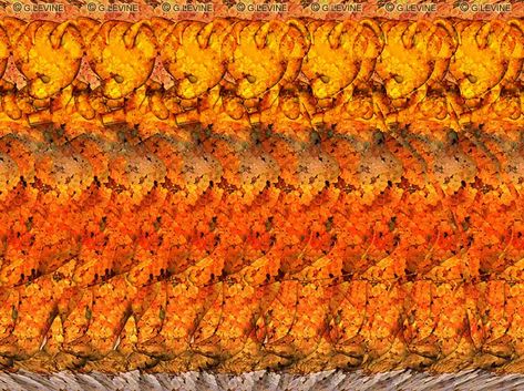 Stock Stereograms - eyeTricks 3D Stereograms 3d Stereograms, Magic Eye Pictures, Eye Illusions, Eye Tricks, Hidden Images, Sales Promotion, Eye Pictures, 3d Pictures, Image 3d