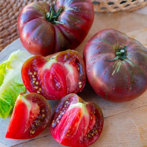 Growing Black Krim Tomatoes - The Heirloom With Stunning Fruit & Intense Flavor! Black Krim Tomato, Pineapple Tomato, Tomato Benefits, Worm Castings Tea, Heirloom Tomatoes Varieties, Tomato Support, Tomato Varieties, Types Of Tomatoes, Organic Mulch