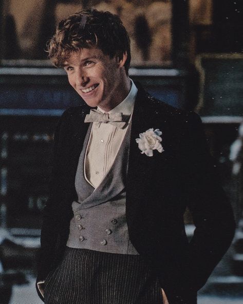 Newt Scamander Aesthetic, Eddie Redmayne Fantastic Beasts, Beau Film, Newt Scamander, Eddie Redmayne, Fantastic Beasts And Where, Fictional Crushes, Harry Potter Characters, Newt