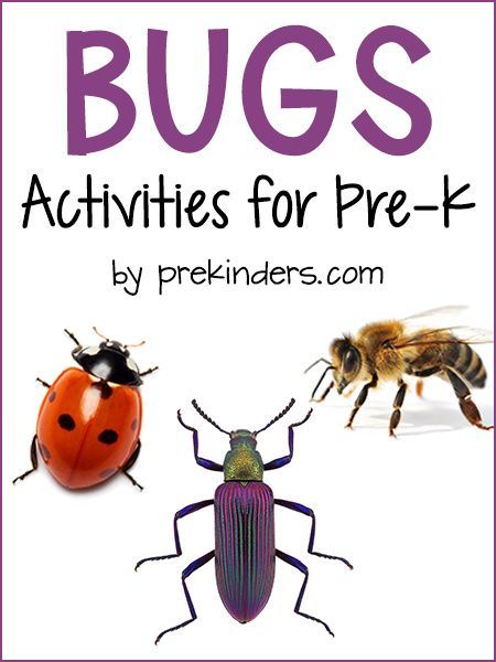 These bug activities by PreKinders are great for your next theme! You'll find everything from books, to large motor activities, to art projects and more! This packet has everything you'll need to have a successful bug theme. Ant Activities, Preschool Insects Activities, Preschool Theme Ideas, Preschool Insects, Preschool Bug Theme, Ants Activities, Ideas For Learning, Bug Activities, Insects Preschool