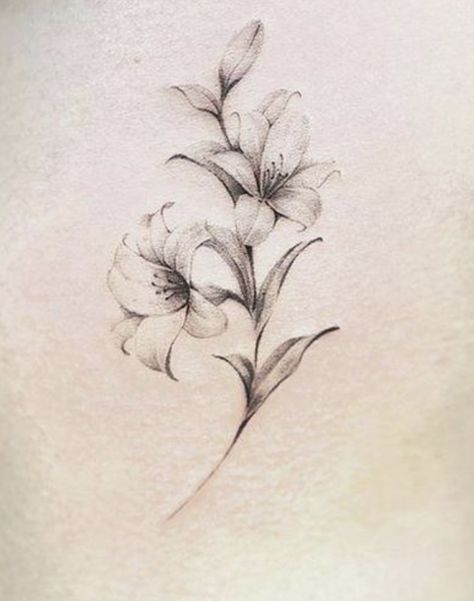 Elegant Lily Tattoo, Tattoo Of A Lily Flower, Lily Flower And Butterfly Tattoo, Lilac And Lily Tattoo, Tiger Lillie Tattoo, Lily And Lily Of The Valley Tattoo, St Joseph Lily Tattoo, Fineline Lily Tattoo, Vvv Tattoo