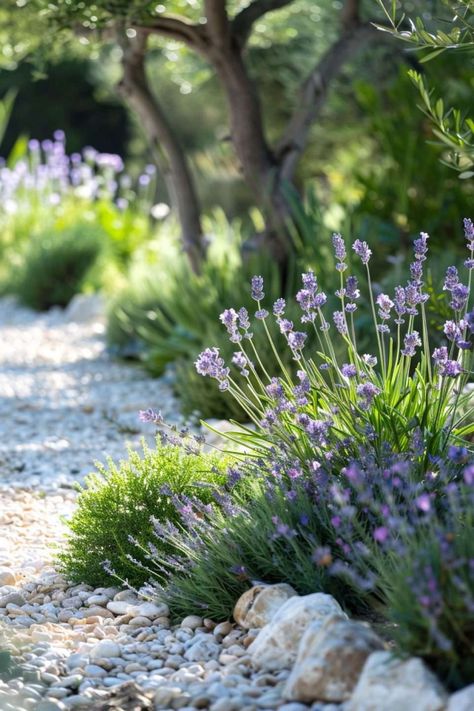 French Cottage Front Yard, Tuscan Garden Ideas, Lavender Landscaping, Garden Mediterranean, Mediterranean Landscape Design, European Landscape, Mediterranean Garden Design, Jade Design, Mediterranean Plants