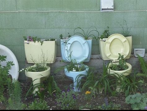 Growth And Decay, New Westminster, Marcel Duchamp, Plants Growing, Green Wall, Toilets, Green Aesthetic, Plant Life, Abandoned Places