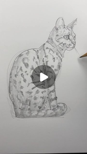 How To Draw Animals Realistic, How To Draw A Cat Easy, How To Draw A Cat, Cat Outline Drawing, Easy Cat Painting, Draw A Cat Easy, Cat Face Drawing, Step By Step Sketches, Drawing 101