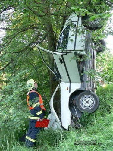 Car in Tree Crashed Car, Funny Accidents, Hood Ornaments, Auto Repair, Show Off, Sport Cars, Car Ins, A Tree, Outdoor Power Equipment