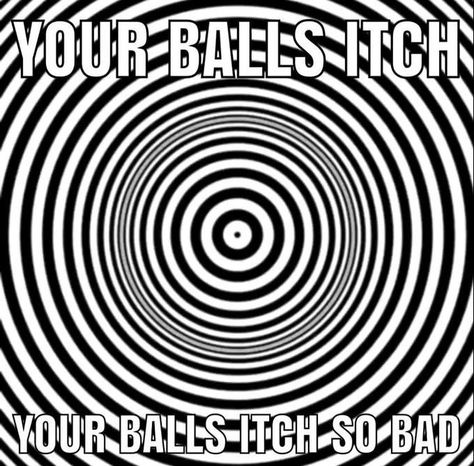 U Want Me So Bad Hypnotize, You Want Me So Bad Hypnotize, Hypnotize Yourself, Emo Love, Snapchat Funny, Pinterest Memes, Funny Profile Pictures, Silly Me, Animal Quotes