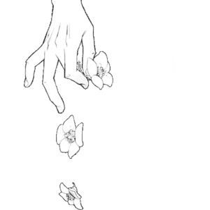 Falling flowers Falling Drawing, Tumblr Outline, White Sketches, Falling Flowers, Why Don't We, Black And White Sketches, Flower Sketches, Pretty Drawings, Outline Art