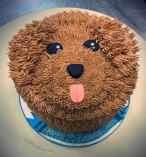 Dog Face Cake, Brown Goldendoodle, Puppy Dog Cakes, Doodle Cake, Face Cake, Puppy Cake, Dog Birthday Cake, Dog Cakes, Cake Decorating Designs