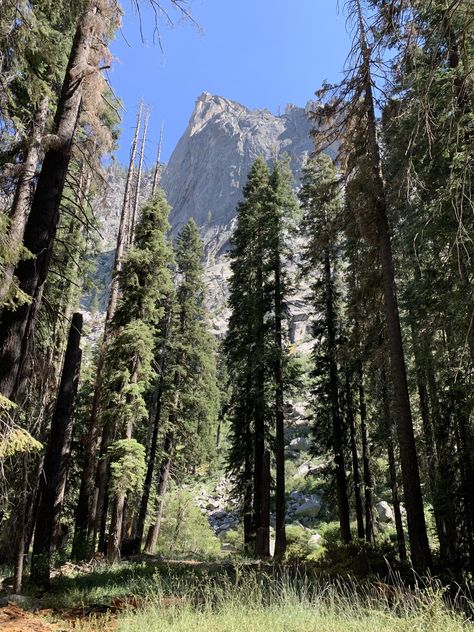 The Watchtower Sequoia National Park California [OC] [3024x4032] Click the link for this photo in Original Resolution. If you have Twitter follow twitter.com/lifeporn5 for more cool photos. Thank you author: https://bit.ly/3kM5Jat Broadcasted to you on Pinterest by pinterest.com/sasha_limm Have The Nice Life! Sequoia National Park California, Tree Tunnel, National Photography, Sequoia National Park, Watch Tower, Landscape Pictures, California Travel, Landscape Photographers, Amazing Destinations