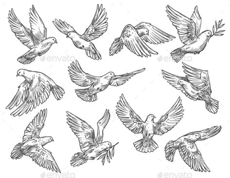 Pigeon Flying with Olive Branch, Vector Sketch #Olive, #Flying, #Pigeon, #Sketch Pigeon Flying Drawing, Pigeon Flying, Sketch Bird, Pigeon Tattoo, Electric Art, Dove With Olive Branch, Olive Branch Tattoo, Flying Pigeon, Dove Tattoo Design