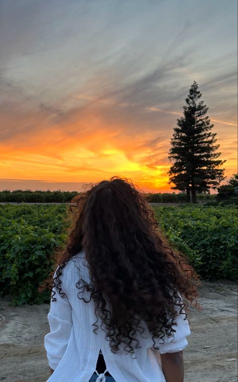 A woman poses before a vibrant orange sunset over the grape vines Perfect Curly Hair Aesthetic, Faceless Curly Hair Girl, Curly Hair Aesthetic Pictures, Curly Hair Instagram Pictures, Curly Hair Poses Photo Ideas, Curly Hair Wallpaper, Curly Hair Aesthetic Faceless, Long Curly Hair Aesthetic, Curly Hair Pics