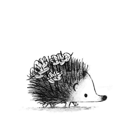 Stylised Animals, Children's Wallpaper, Hedgehog Tattoo, Hedgehog Drawing, Hedgehog Illustration, Book Poster, Hedgehog Art, Cute Hedgehog, Watercolor Flowers Paintings