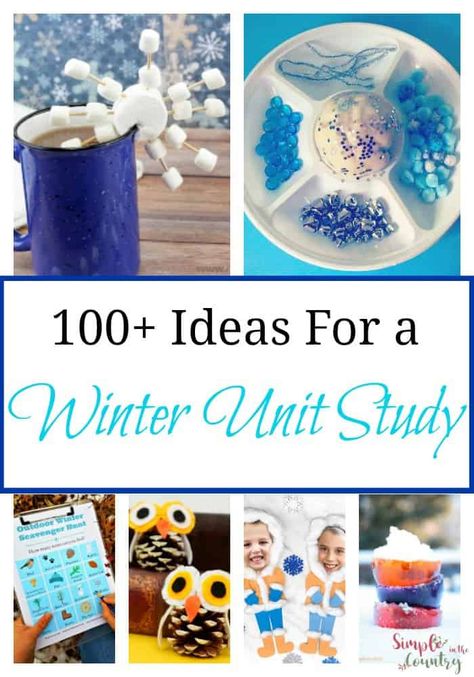 100+ ideas for a Winter Unit Study Homeschool Unit Study Ideas, Winter Unit Study, Preschool Winter Worksheets, Snowflake Recipes, Snowy Owl Craft, Winter Homeschool, Unit Study Ideas, Winter Sensory Bin, Penguin Cookies