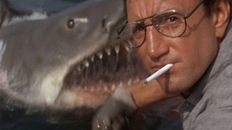 Jaws Bruce, Martin Brody, Jaws Film, Shark Movies, Jaws 1975, Roy Scheider, Amity Island, Iconic Films, Jaws Movie