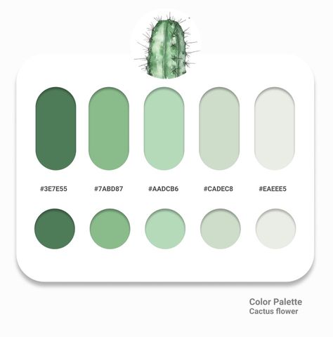 Feminine Color Palette Hex Codes, Cactus Color Palette, Instagram Branding Design, Pantone Colour Palettes, Hex Color Palette, Palette Design, Palette Art, Paint Color Palettes, Hex Color Codes