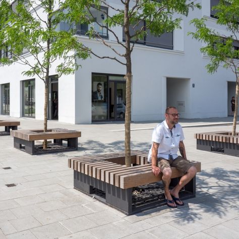 Rough&Ready Carré Benches | Streetlife Park Bench Design, Outside Benches, Roots Design, Planter Bench, Tree Bench, Unique Bedroom Design, Urban Tree, Urban Furniture, Bench Designs