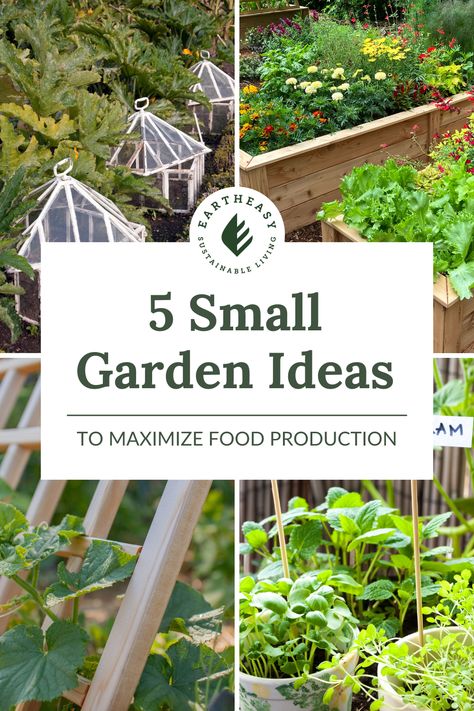 Small Vegetable Gardens Ideas, Small Veggie Garden Ideas, Small Veggie Garden, Veggie Garden Ideas, Small Vegetable Garden Ideas, Small Space Garden, Backyard Vegetable Garden, Growing Radishes, Backyard Sanctuary