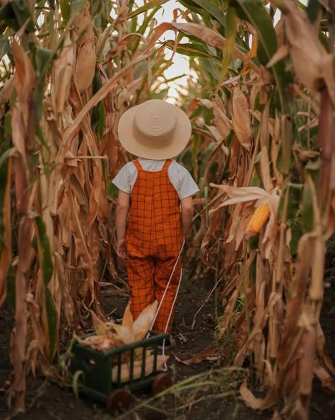 Fall Minis, Easter Photoshoot, Boys Fall Outfits, Pumpkin Photos, Baby Photoshoot Boy, Farm Kids, Fall Family Pictures, Baby Painting, Fall Mini