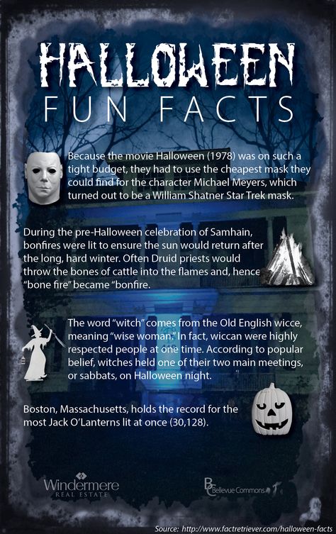 Halloween Fun Facts: Michael Meyers Mask, the word "Witch" and more Halloween Facts History, Facts About Witches, Urban Legends Stories, Halloween Fun Facts, Paranormal Facts, Fall Facts, Michael Meyers, Halloween History, Michael Meyer