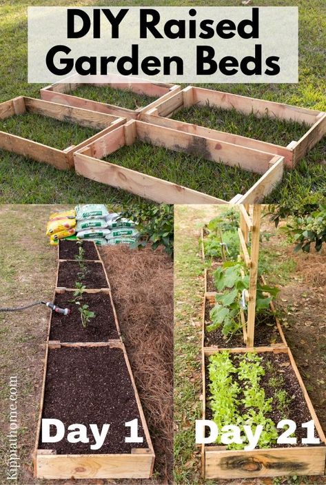 Pallet Raised Garden Bed Diy, Wood Raised Beds, Garden 101, Start A Vegetable Garden, Cheap Raised Garden Beds, Natural Gardening, Grow Your Own Vegetables, Mother Gaia, Raised Garden Bed Plans