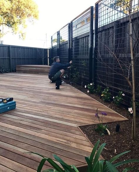 Banksia Integrifolia, Trellis Fence, Privacy Landscaping, Pool Fence, Backyard Lighting, Fence Landscaping, Patio Interior, Backyard Fences, Love Garden