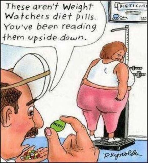 diet 2 Funny Diet, Fitness Site, Funny Vine, Diet Humor, Hee Hee, Weight Watchers Diet, E Mc2, Humor Memes, Cartoon Jokes