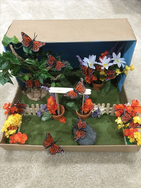 Butterfly diorama Diy Butterfly Habitat, Butterfly Science Project, School Butterfly Garden, Monarch Butterfly Habitat, Butterfly Crafts Preschool, Diorama Kids, Butterfly Science, Habitats Projects, About Butterfly