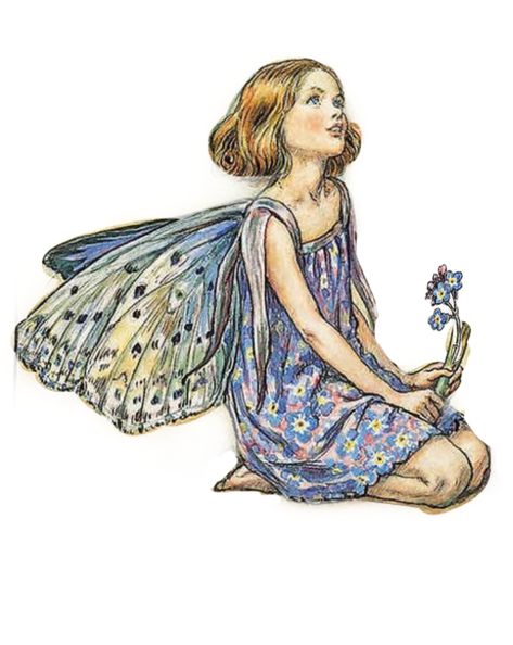 Forget Me Not Fairy, Fairies Aesthetic, Fairies Art, Fairy Wall Art, Fairy Paintings, Fairy Drawings, Fairy Stickers, Fairy Images, Fairy Illustration