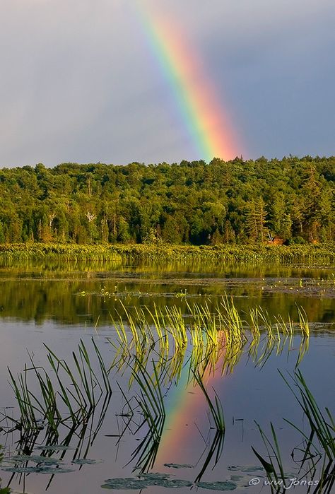 The End of The Rainbow by Wayne Jones Rainbow Lake, Rainbow Pictures, Summer Vacation Spots, Under The Rainbow, End Of The Rainbow, God's Promise, Rainbow Magic, Afternoon Sun, Rainbow Sky