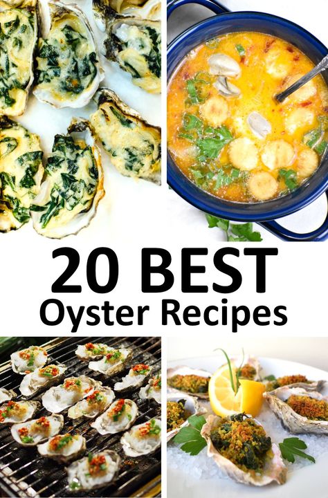 Broiled Oysters In Oven No Shell, Oyster Pasta Recipes, Oyster Recipes No Shell, Broiled Oysters Recipe, Special Occasion Meals, Oysters Recipes, Oysters Bienville, Oyster Recipe, Broiled Oysters