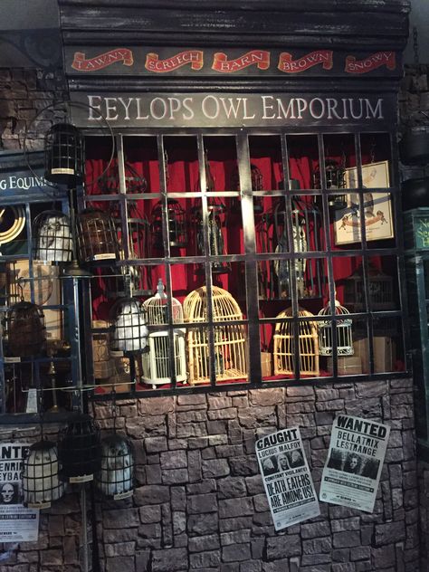 Harry Potter  Diagon Alley  Birthday decor  Magalie Sarnataro’s Props Harry Potter Library, Harry Potter Store, Harry Potter Diagon Alley, Harry Potter Miniatures, Cumpleaños Harry Potter, Harry Potter Bday, Harry Potter Room Decor, Harry Potter Set, Harry Potter Shop