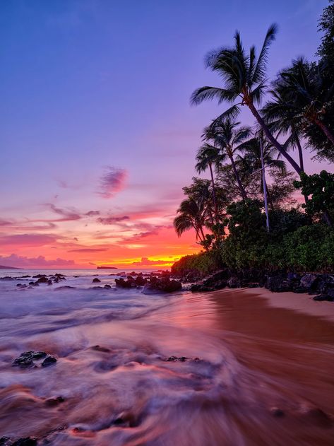 Palm In Paradise | Maui, Hawaii | Andrew Shoemaker Maui Hawaii Aesthetic, Sunrise Photography Beach, Hawaii Beach Sunset, Hawaii Pictures, Hawaiian Sunset, Hawaii Photography, Maui Beach, Hawaii Art, Forest Scenery