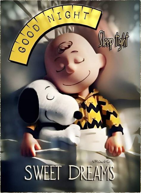 Funny Good Night Images Humor, Funny Good Night Images, Goodnight Snoopy, Cute Good Night Quotes, Good Night Family, Good Morning Cartoon, Good Morning Snoopy, Snoopy Funny, Good Morning Beautiful Flowers