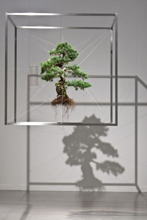 makoto azuma Makoto Azuma, String Garden, Bonsai Art, Bonsai Trees, Tree Sculpture, Tree Silhouette, Sculpture Installation, Plant Art, Arte Floral