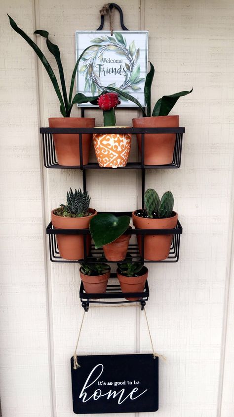 Outdoor Shower Caddy Ideas, Shower Caddy Plant Holder, Shower Caddy Ideas, Shower Caddy, Plant Holder, Plant Lady, Outdoor Shower, Plant Holders, Outdoor Spaces