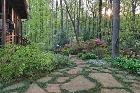 Garden No Lawn Ideas, Woodland Yard, No Grass Yard, Gaia's Garden, Hillside Landscape, Georgia Garden, Grass Alternative, Northwest Garden, Backyard Renovation