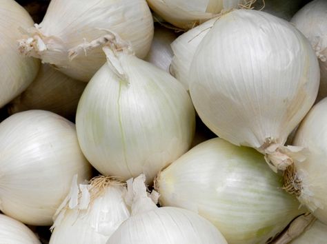 Food News, Recipes, and Humor Improve Cholesterol, Kitchen Tips And Tricks, Kitchen Skills, Garlic Bulb, Cooking 101, Good Things To Know, Onion Recipes, Frugal Tips, Chopped Onions