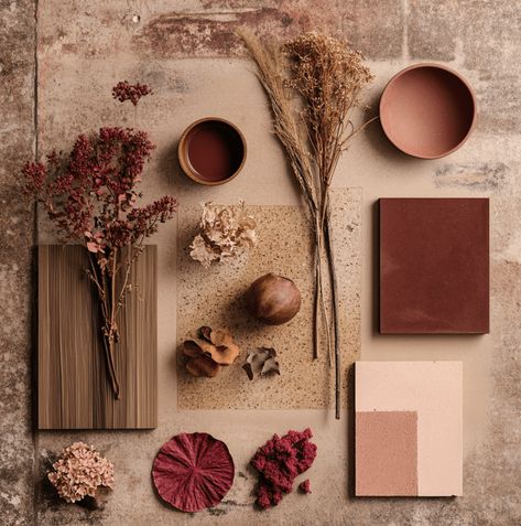 Deep Reds Plaster Pink Interior Colour Palette 2025 Interior Colour Palette, Dark Wood Wallpaper, Living Room 2024, Snug Room, Pastel Home Decor, Pastel House, Hidden Rooms, Earthy Color Palette, Interior Colour