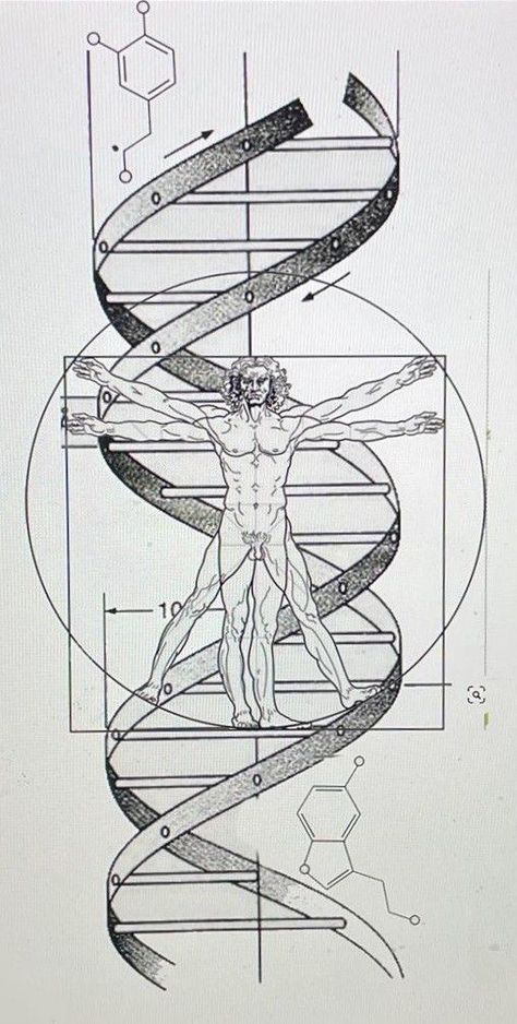 Science Tattoo Ideas Biology, Phd Tattoo, Science Tattoos Biology, Anatomy Tattoo Ideas, Biology Tattoo, Evolution Tattoo, Anatomy Tattoo, Science Tattoo, Geometric Line Tattoo