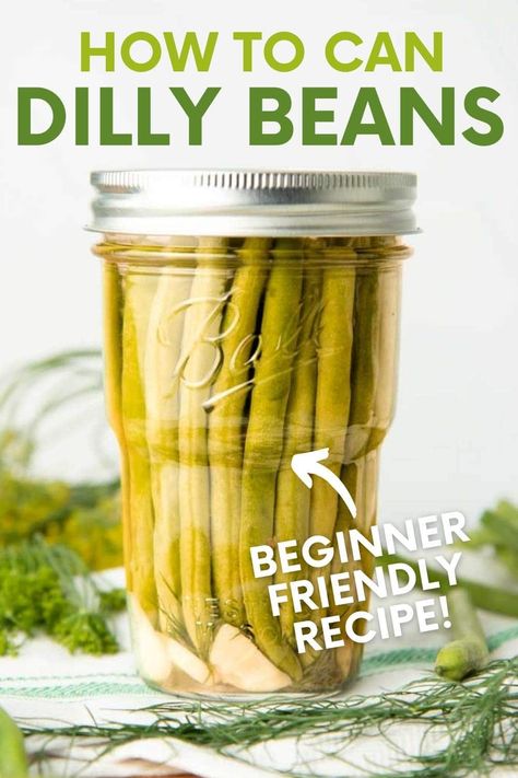 Dilly beans are a great way to preserve fresh green beans. Plus, they're quick and easy to make! Here's a step-by-step guide to help you make a batch. Dilly Beans Recipe, Pickled Green Bean Recipes, Apple Canning, Preserving Green Beans, Canned Green Bean Recipes, Canning Veggies, Beans Recipe Healthy, Summer Canning, Pickled Vegetables Recipe