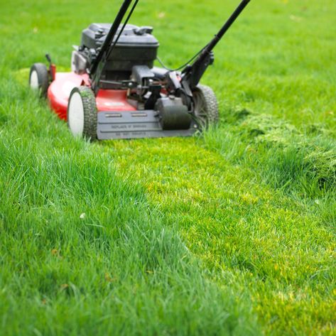 Mowing-lawn-and-leaving-grass-clippings Surprise Arizona, Budget Landscaping, Best Lawn Mower, Property Maintenance, Robotic Lawn Mower, Landscape Maintenance, Surprise Az, Healthy Lawn, Lawn Maintenance