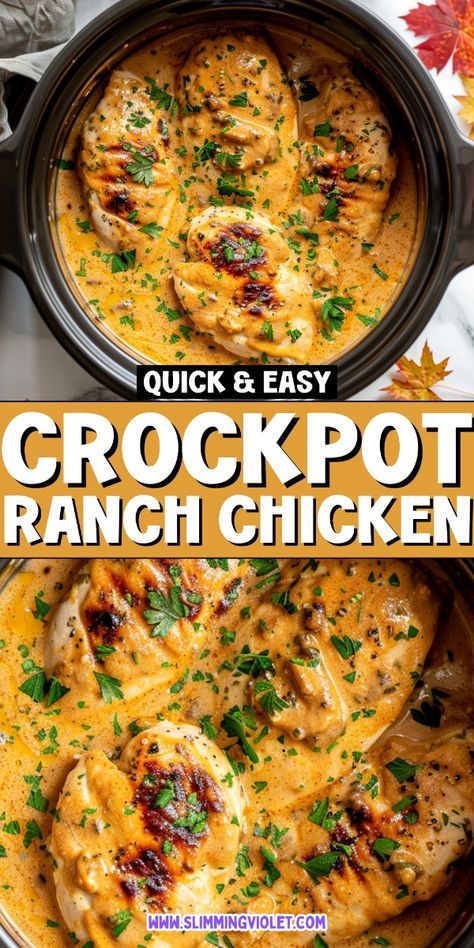 Whole Food Chicken Crockpot Recipes, Healthy Yummy Crockpot Meals, Crock Chicken Recipes, Chicken Crockpot Dishes, Kid Friendly Fall Dinners, Crock Pot Chicken Ranch Recipes, Chicken And Ranch Recipes, Dump Chicken Crockpot Recipes, Quick And Easy Slow Cooker Recipes