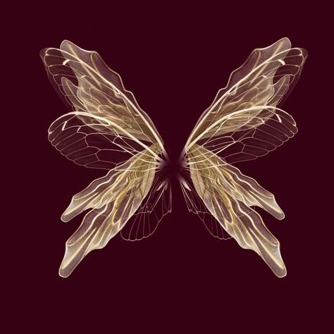 Fire Butterfly Aesthetic, Red Aesthetic Butterfly, Maroon Butterfly, Butterflies Aesthetic Vintage, Burgundy Butterfly, Aesthetic Brown Butterfly, Butterfly Icon, Genshin Wallpapers, Dark Red Wallpaper