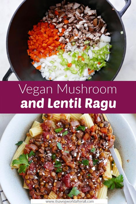 Warm up with a cozy bowl of this vegan mushroom and lentil ragu recipe. It's made with plant-based ingredients to mimic the flavors and textures of traditional ragu or bolognese. Serve mushroom ragu over pasta for an easy meal! Vegan Ragu, Ragu Recipes, Vegetarian Pasta Sauce, Lentil Ragu, Ragu Recipe, Lentil Pasta, Vegetarian Pasta, Lentil Recipes, Tikka Masala