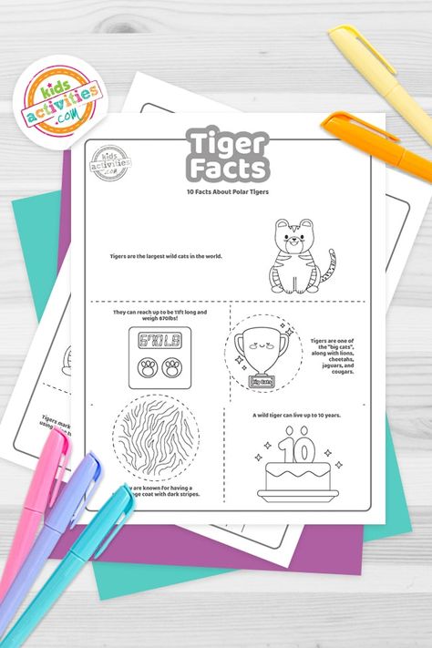 You will love printing and learning about tigers with our tiger fun facts pages. Our tiger facts printables include two fact pages filled with facts about Tiger Habitat, Tiger Facts, Tiger Kids, Wild Tiger, Siberian Tiger, Cheetahs, A Tiger, Kids Activities, Paper Cards