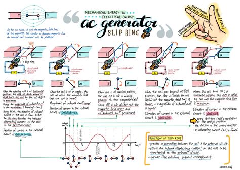 AC Generator Summary | Evan's Space Electric Field Physics Notes, Electricity And Magnetism Notes, Physics Current Electricity Notes, Current Electricity Formula Sheet, Physics Notes Class 10 Electricity, Electrical Machines, Ac Generator, Physics Electromagnetism, Longitudinal Wave